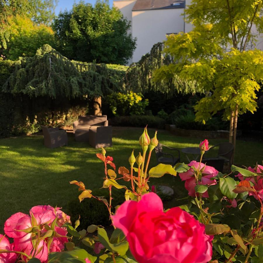 Hotel Des Cedres Orlean Zewnętrze zdjęcie